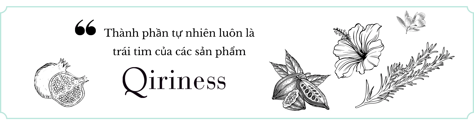 qiriness với bảng thành phần tự nhiên trong từng sản phẩm