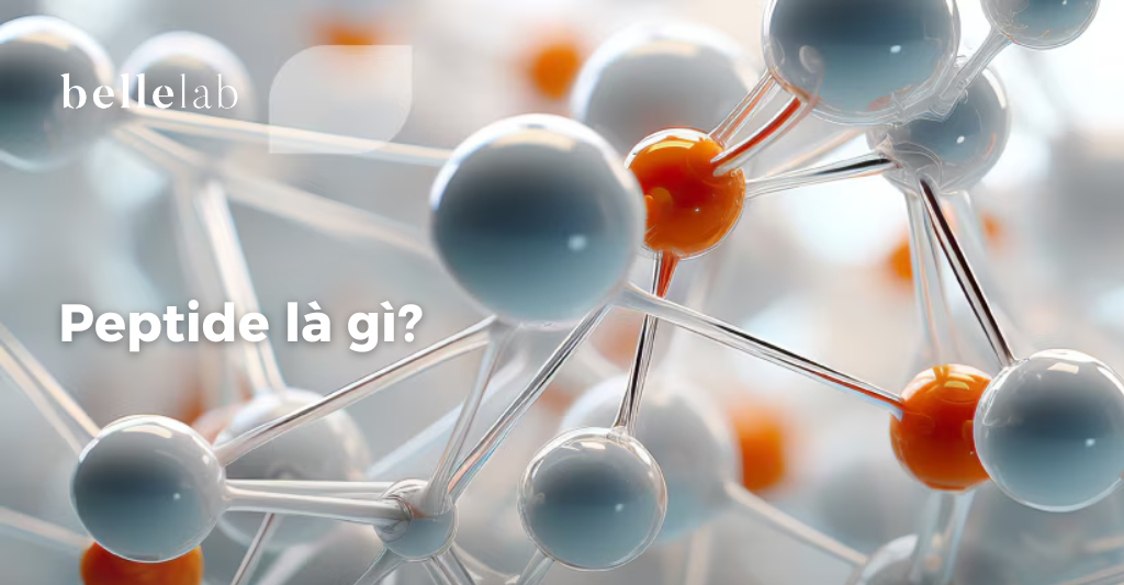 Peptide là gì?