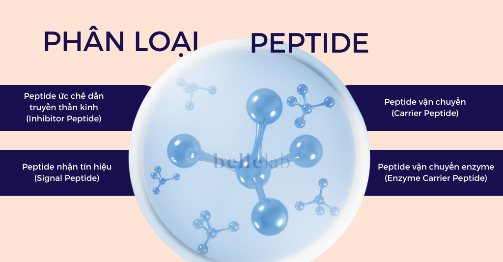 phân loại peptide