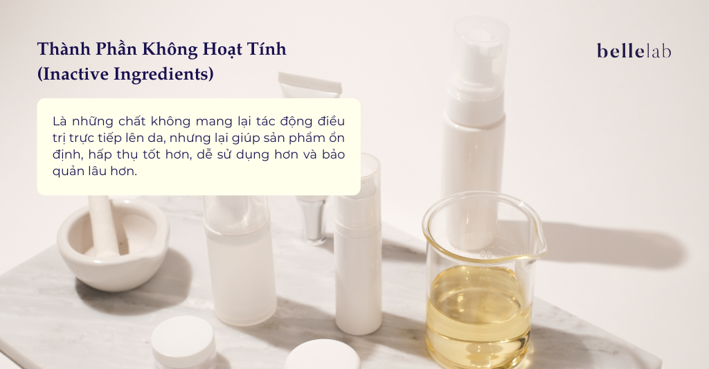 Thành Phần Không Hoạt Tính (Inactive Ingredients)